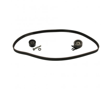 Timing belt set 23655 FEBI