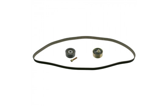 Timing belt set 26123 FEBI