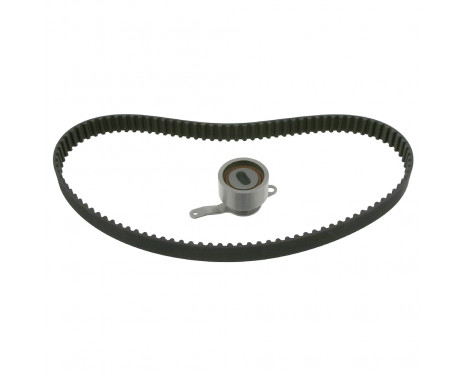 Timing Belt Set 26136 FEBI