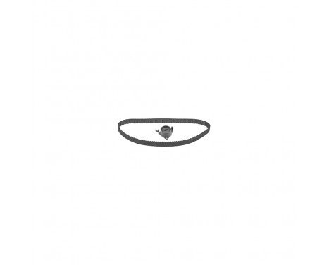 Timing belt set 27535 FEBI