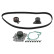Timing belt set 32813 FEBI