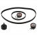 Timing belt set 33913 FEBI