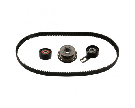 Timing belt set 39202 FEBI