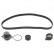 Timing belt set 45113 FEBI