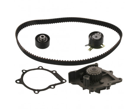 Timing belt set 45175 FEBI