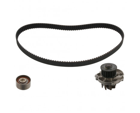 Timing belt set 45176 FEBI
