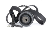 Timing Belt Set 530000210 Ina