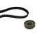 Timing Belt Set 530015410 Ina