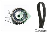 Timing Belt Set 530022110 Ina