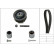 Timing Belt Set 530044510 Ina