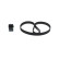 Timing Belt Set 8910 Bosch