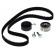 Timing Belt Set CT1014K2 Contitech