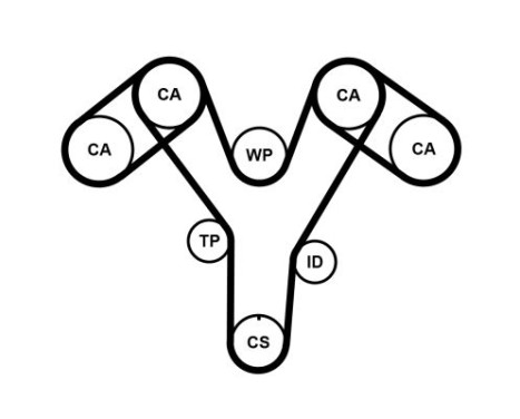 Timing Belt Set CT1096K2PRO Contitech, Image 3