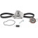 Timing Belt Set CT1110K2 Contitech