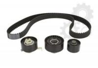 Timing Belt Set CT978K2 Contitech