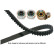 Timing Belt Set DKT-4534 Kavo parts