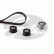 Timing Belt Set PowerGrip® K025542XS Gates