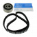 Timing Belt Set VKMA 03201 SKF
