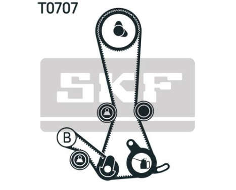 Timing Belt Set VKMA 95019 SKF, Image 2