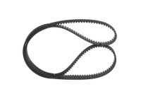 Timing belt STDN15208M24ZZP Bosch