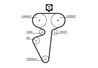 Toothed belt 5539 Gates