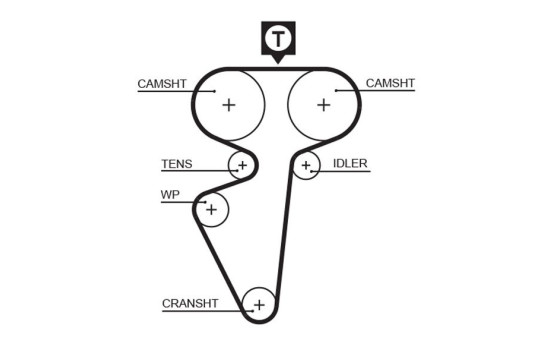 Toothed belt 5539 Gates