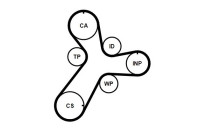 Toothed belt CT1237 Contitech