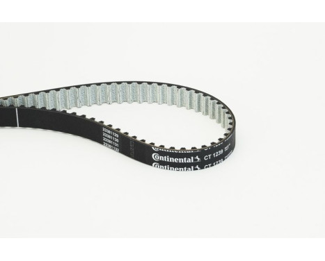 Toothed belt CT1239 Contitech, Image 3