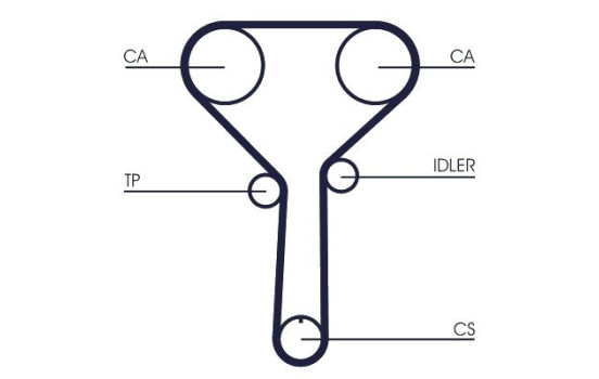 Toothed belt CT1254 Contitech, Image 2