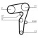 Toothed belt CT1261 Contitech, Thumbnail 2