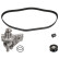 Water Pump & Timing Belt Set 172672 FEBI