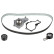 Water Pump & Timing Belt Set 173201 FEBI