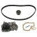 Water Pump & Timing Belt Set 34641 FEBI