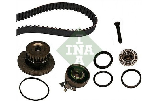 Water Pump & Timing Belt Set 530000431 Ina