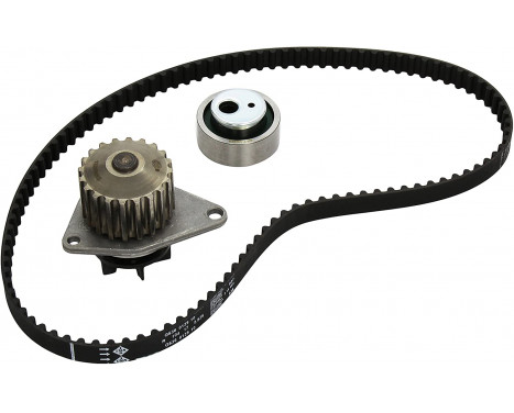 Water Pump & Timing Belt Set 530001230 Ina