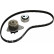 Water Pump & Timing Belt Set 530001230 Ina