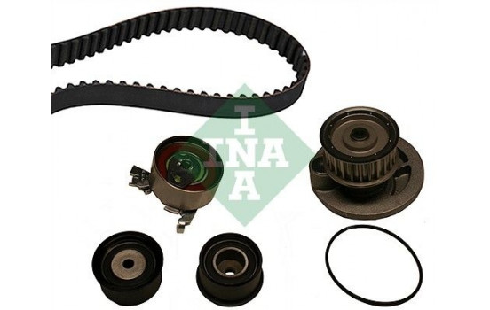 Water Pump & Timing Belt Set 530004930 Ina