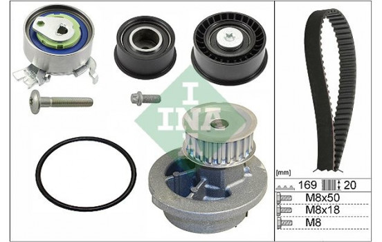 Water Pump & Timing Belt Set 530007830 Ina