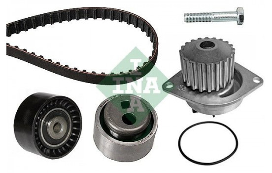 Water Pump & Timing Belt Set 530011930 Ina