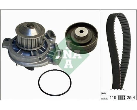 Water Pump & Timing Belt Set 530015230 Ina