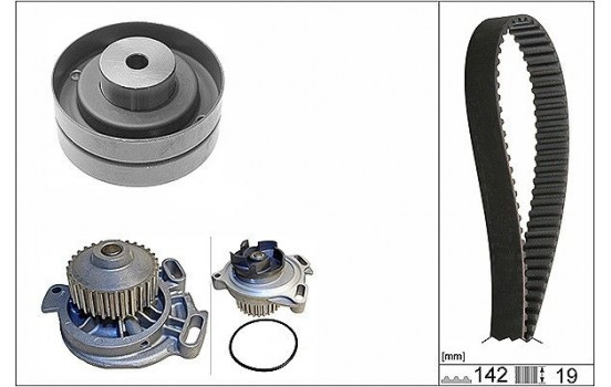 Water Pump & Timing Belt Set 530015630 Ina