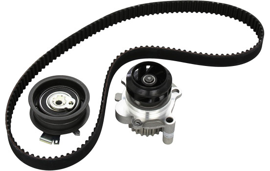 Water Pump & Timing Belt Set 530017130 Ina