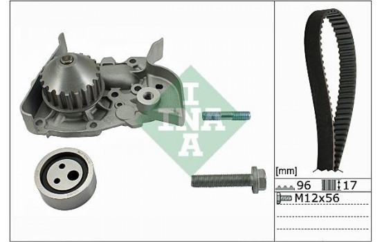Water Pump & Timing Belt Set 530019130 Ina