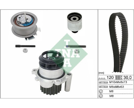 Water Pump & Timing Belt Set 530020130 Ina