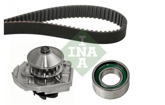 Water Pump & Timing Belt Set 530020430 Ina