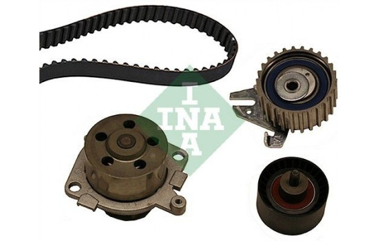 Water Pump & Timing Belt Set 530022530 Ina