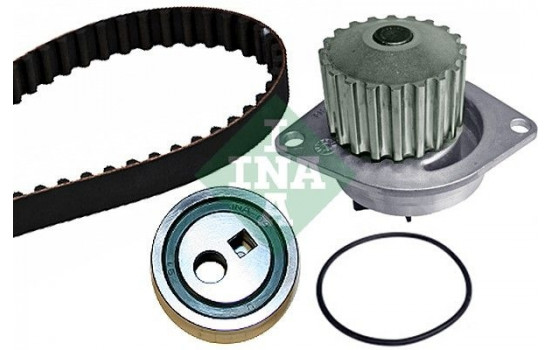 Water Pump & Timing Belt Set 530025230 Ina