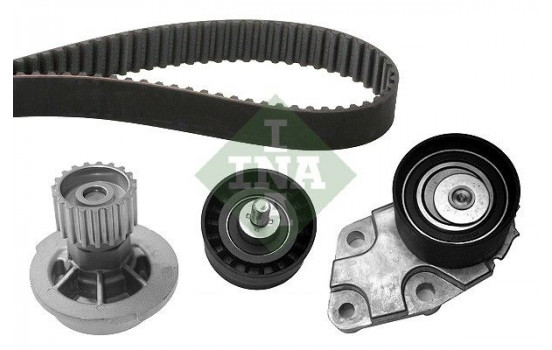 Water Pump & Timing Belt Set 530033230 Ina