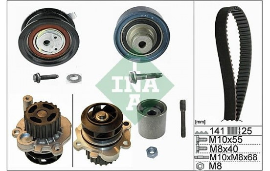 Water Pump & Timing Belt Set 530036131 Ina