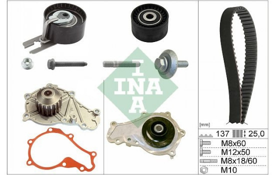 Water Pump & Timing Belt Set 530037530 Ina